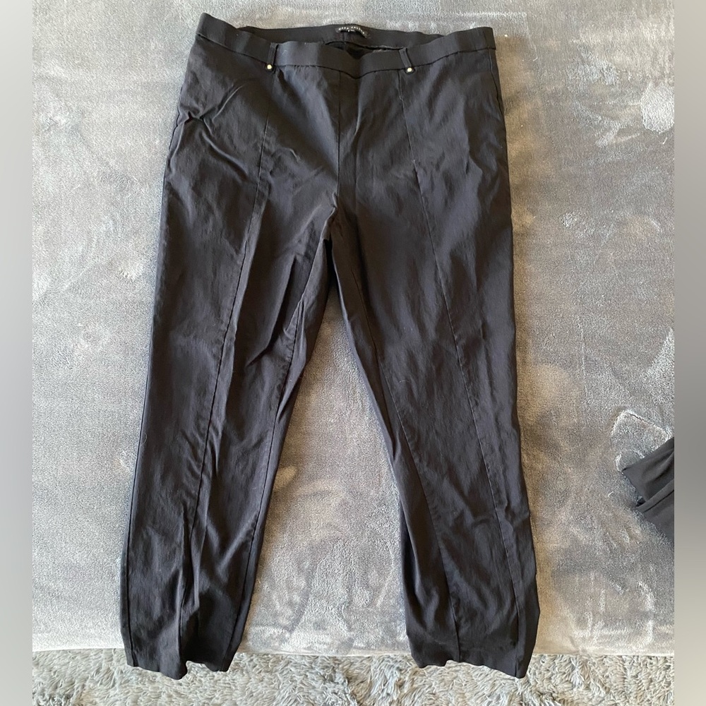 Dress pants